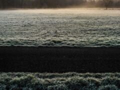 Photo by Andre Koch
