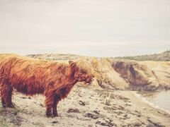 Photo by Elias Carlsson